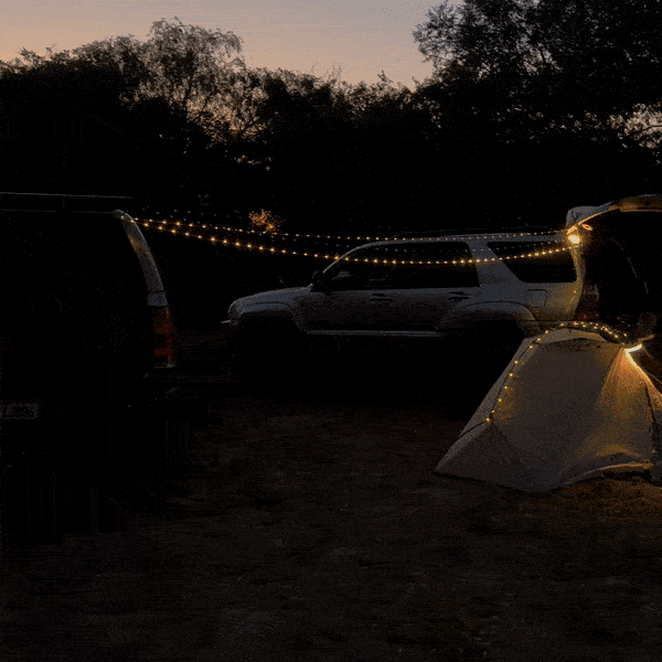 VibeCast™ Outdoor & Indoor Light Kit