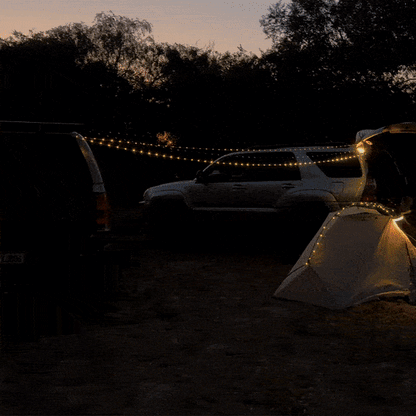 VibeCast™ Outdoor & Indoor Light Kit